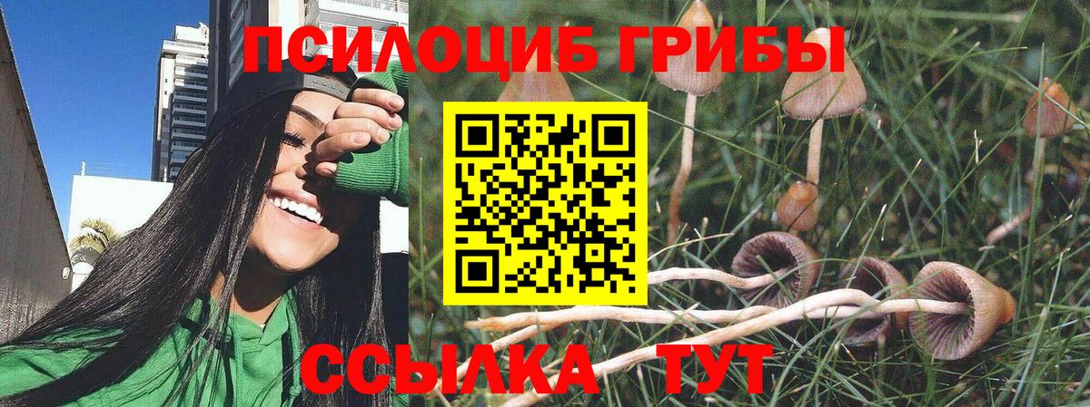 Татарск  Псилоцибиновые грибы Magic Shrooms  Вход с VPN  Псилоцибиновые грибы MAGIC MUSHROOMS 